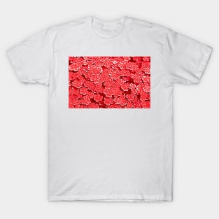 Clover Red T-Shirt